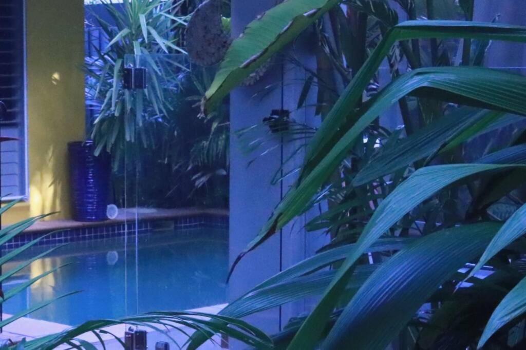 Villa Beauty Tiny Walk To Sea Port Douglas Esterno foto